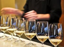 Stag party wine tasting in Bratislava