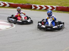 Go karting activity